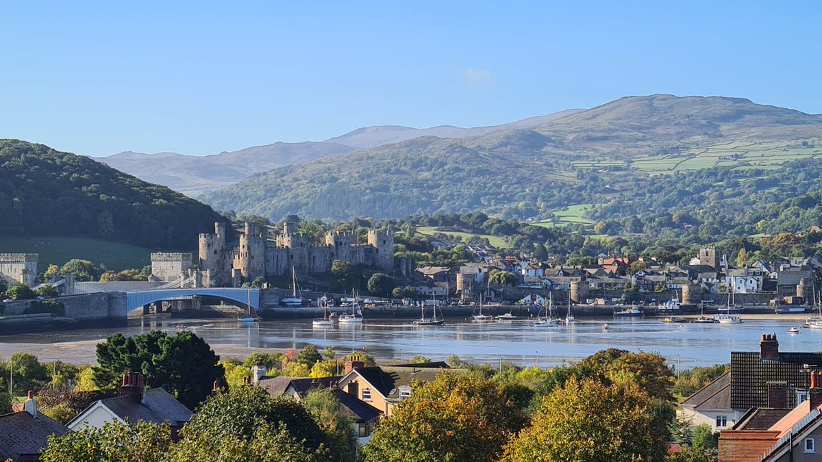 Adrian Johnson tweet media