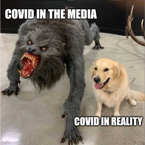 Dr. Eli David tweet media