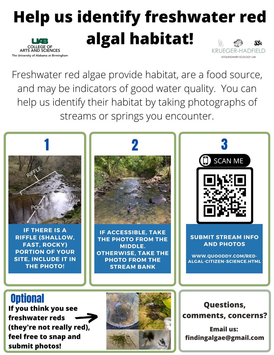 theAGA_org's tweet photo. New post on the #AGABlog #FromTheField #StudentSciComm https://t.co/dvv4na4XPh by @SarahShainker @alwaterwatch @UABBiology @quooddy #algae https://t.co/k7JLFR82dF