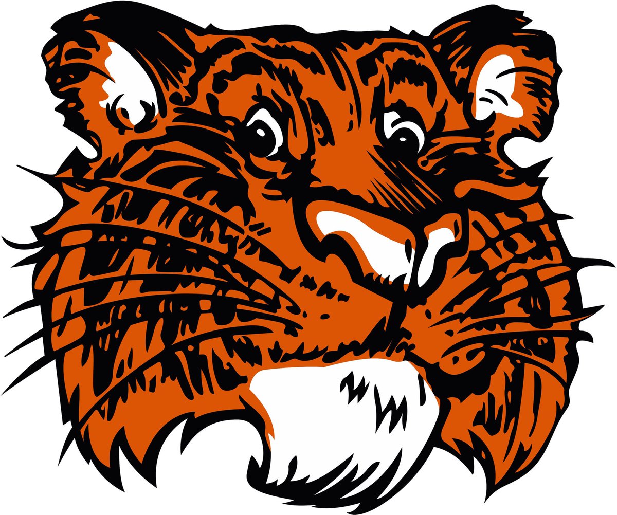 Huge Shout out to Kyle Petermeier (Wadena-Deer Creek) for setting up a youth football game at US Bank Stadium. Wadena-Deer Creek vs Browerville-Eagle Valley. A memory our kids will never forget!