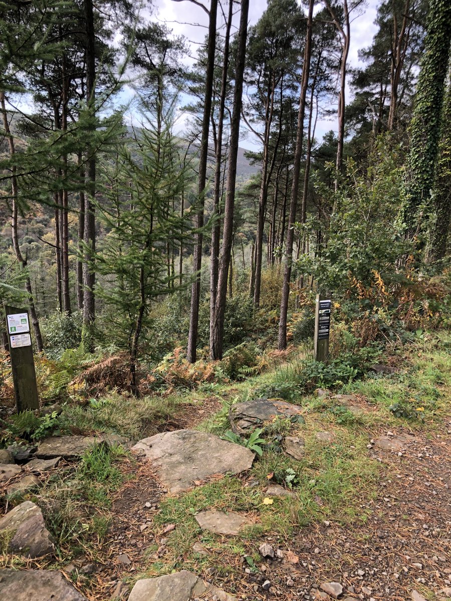 antgard15's tweet photo. Some me time today .Nice to be back on the trails. https://t.co/ydxP5GWmB5