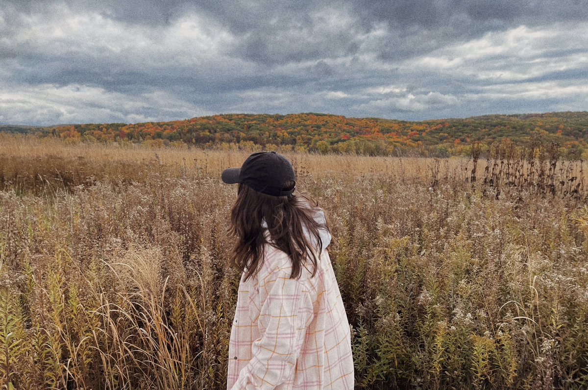 earth2b's tweet photo. 🍂 https://t.co/PZSx5m0Oh2