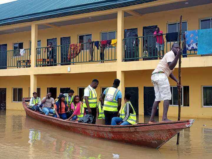 @glorifiedbayelsa tweet media