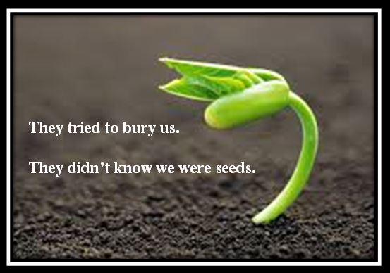 Truth I Am tweet media