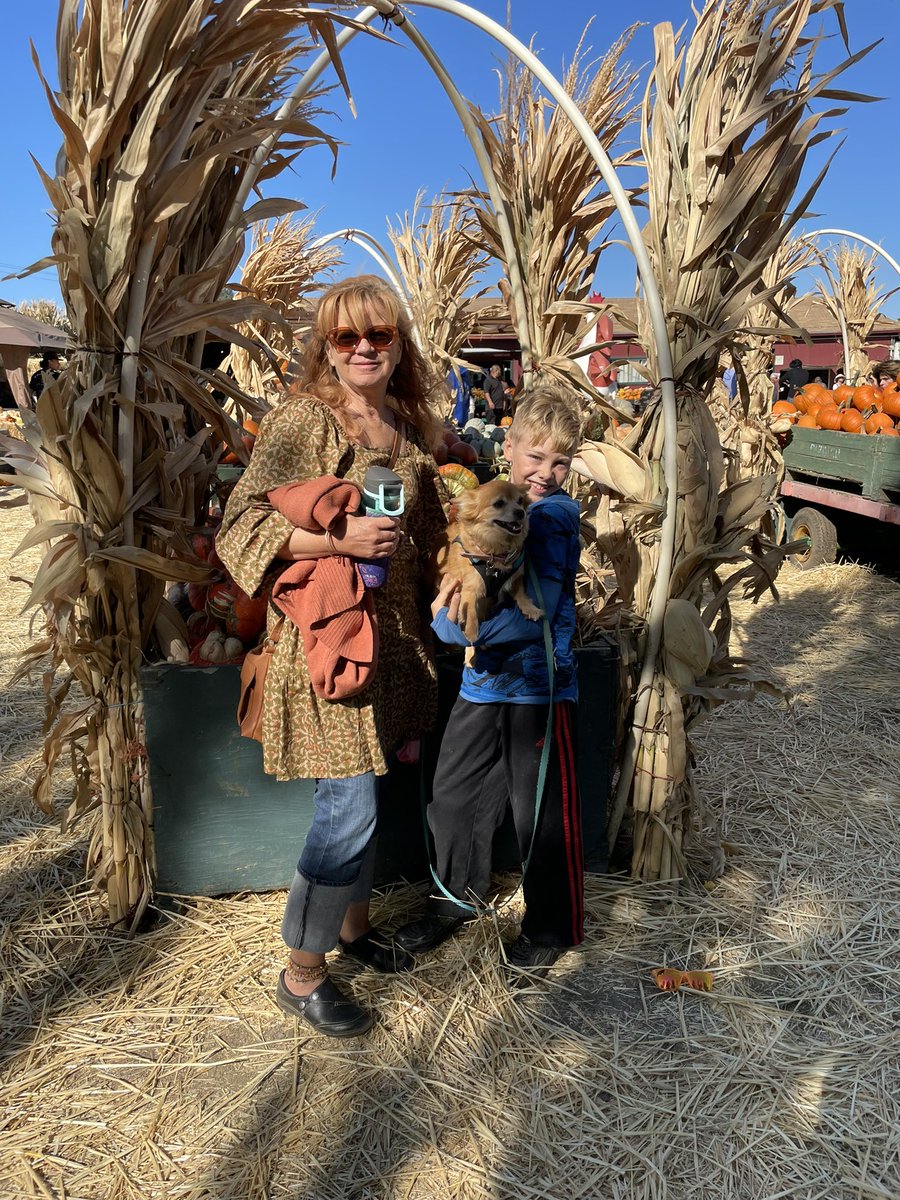 Happy Pumpkin Patch Season! 🎃