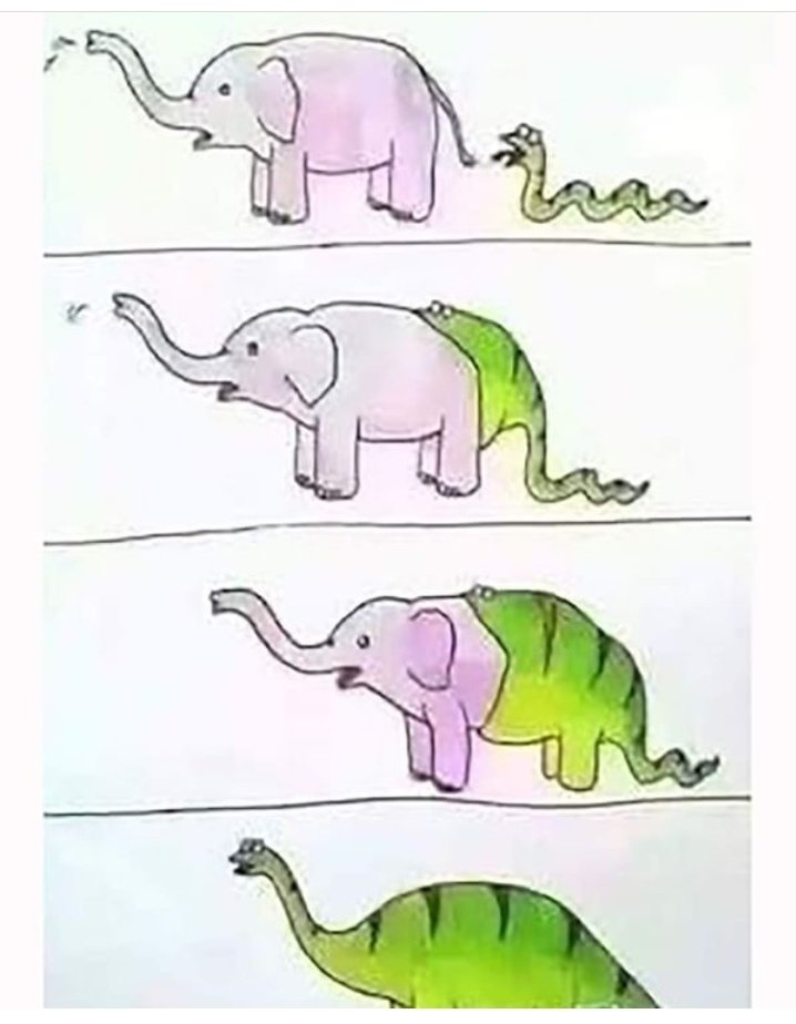 tonysteve4483's tweet image. Haha 😂😂