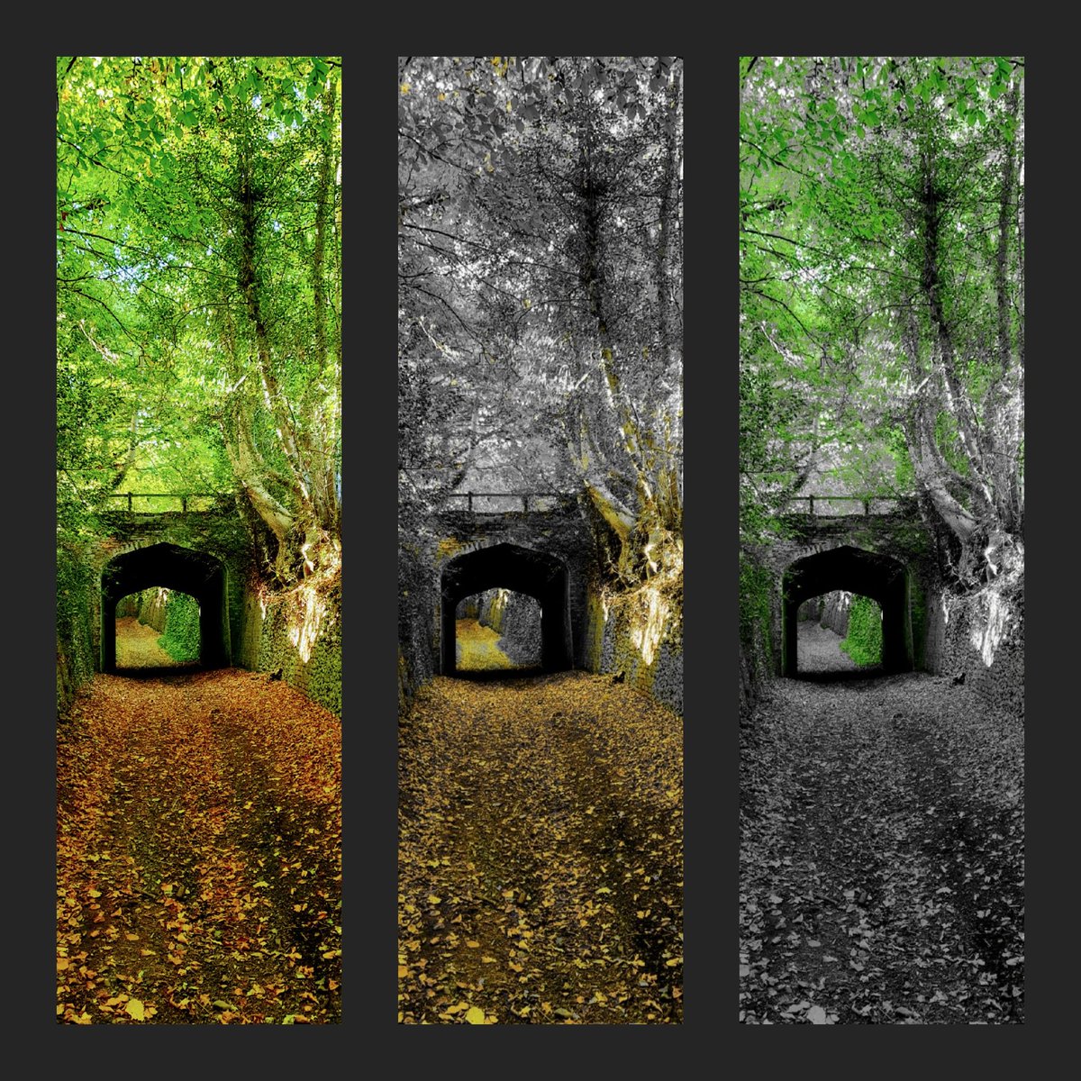 dianeechambers's tweet image. Some Messing with #spotcolour #devilsbridge
📸my own