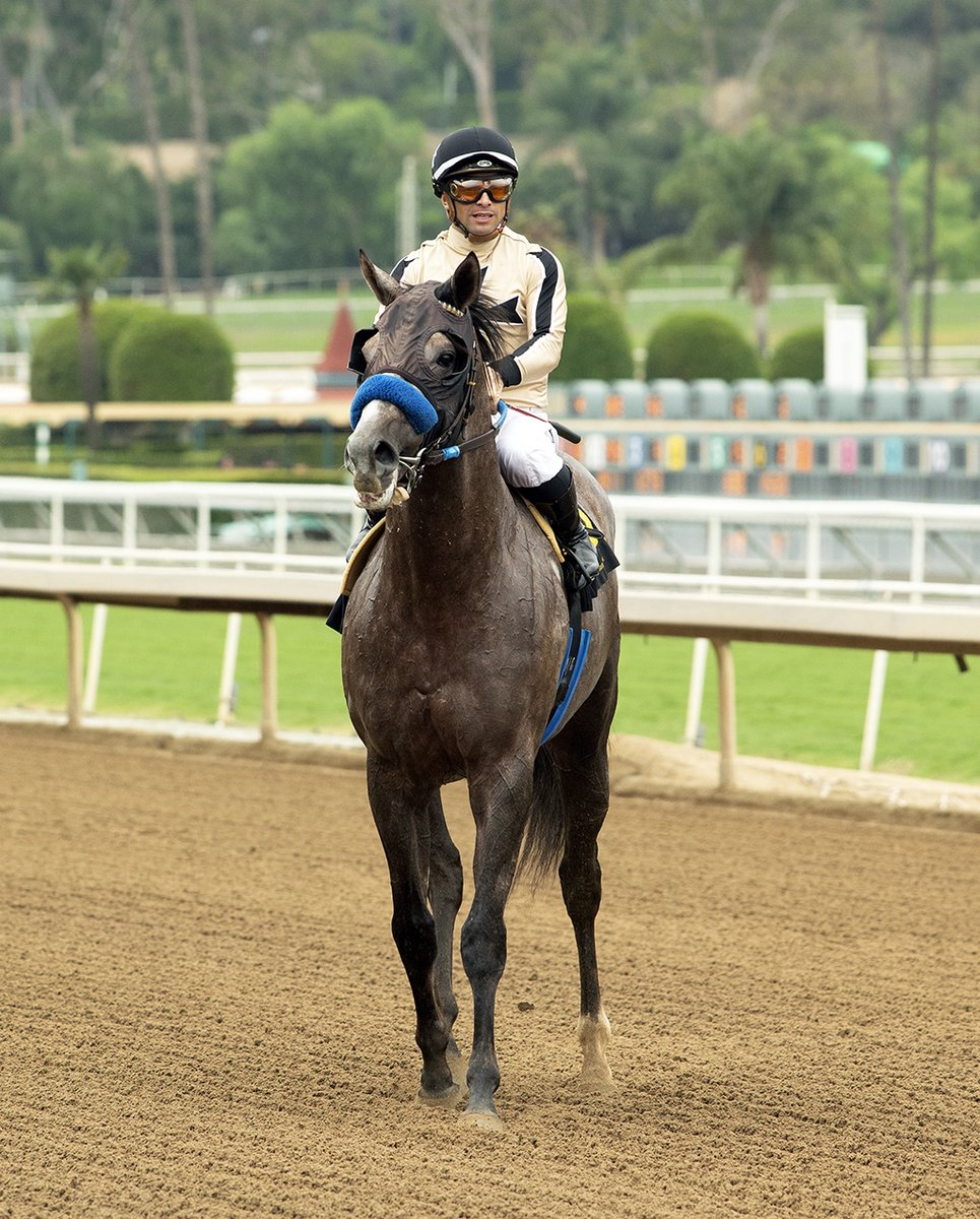 sadlerracing's tweet image. And that is how you break your maiden #sadlerstyle #wiretowire @santaanitapark Congrats to TANGLEDUPINGREY and his owners Cicero Farms. And a huge thank you to our amazing team!! 
@JuanLeyva1984 @EnriqueDMiranda @AlexBisono @Peniche_Jesus1 @NathalieDarley @johnwsadler