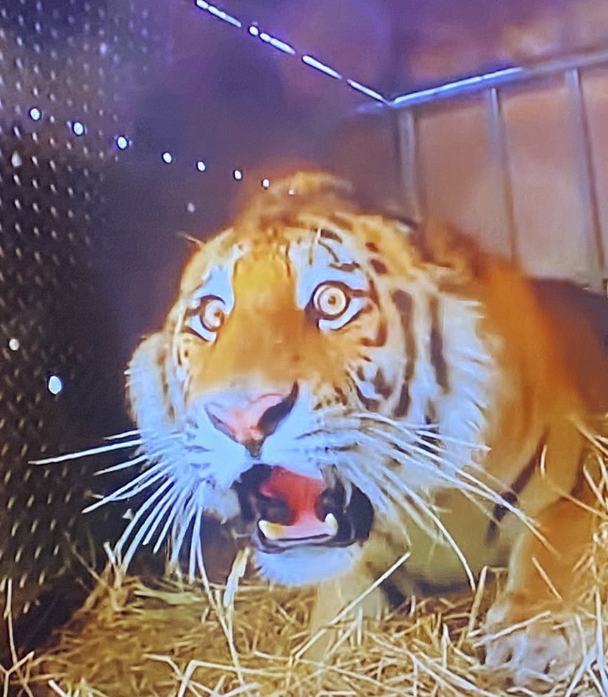 Blake Danger tweet media