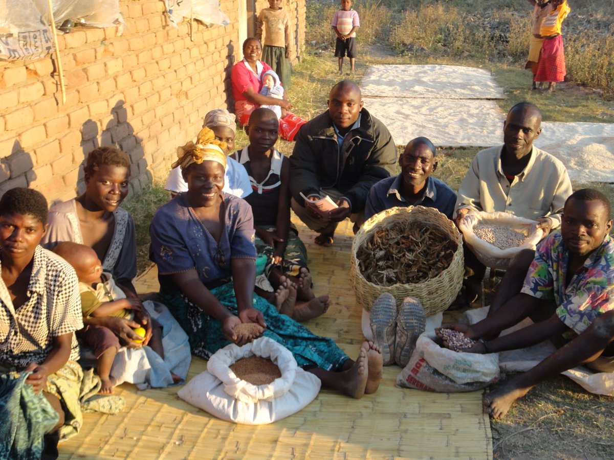 Today is #WorldFoodDay - We celebrate and pay respect to farmers and farmworkers around the world ! @Mittaloak @ndycurrier @GRAIN_org @TimothyAWise @Afsafrica @annalappe @SAFCEI @NnimmoB @FamilyFarmCo @via_campesina