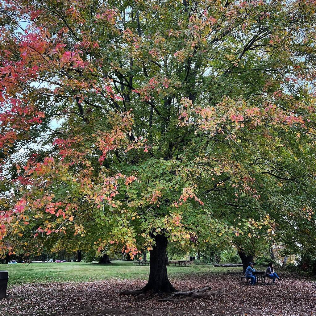CharityJen's tweet photo. Hello, beautiful.
🍂
#fallhasarrived https://t.co/t7Stwy6N3u