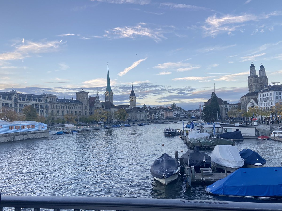 Susan HayesCulleton CFA tweet media