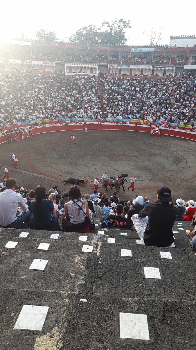 Lorena56757263's tweet photo. @petrogustavo hasta cuando??? https://t.co/ataAsje7II