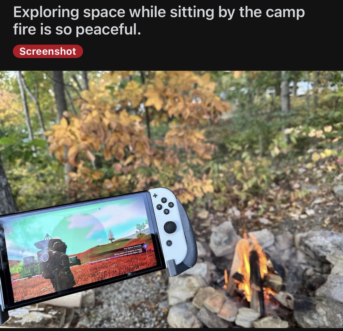 NoMansSky's tweet image. 😍