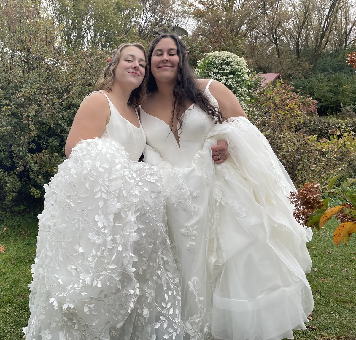 Reba Dominski tweet media