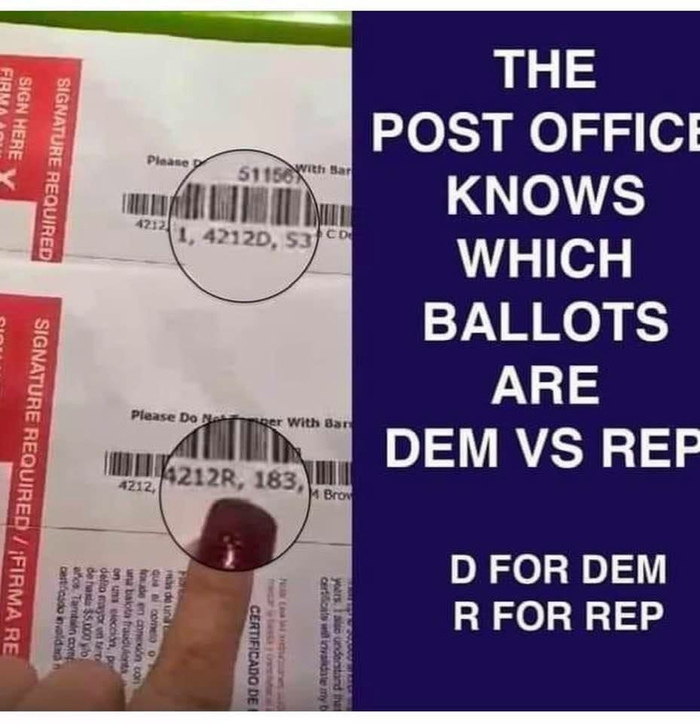 Its_Gav_7's tweet image. Just a friendly reminder to vote IN PERSON!!! The @USPS cannot be trusted. 👇👇👇