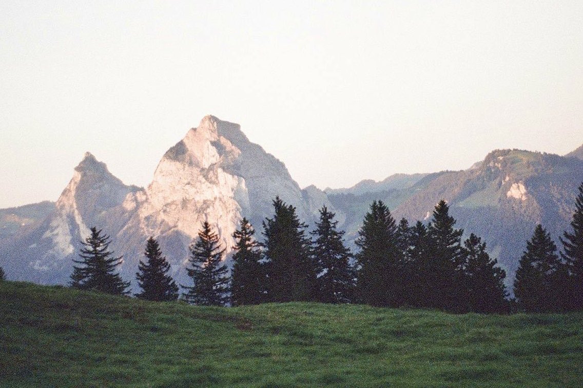 FeebleLabs's tweet photo. Our project is intently focused on community and engagement

But in order to foster this, it’s important to take time away

Take a drive, touch some grass, read a book

It’ll make you refreshed and grateful for what we have here https://t.co/LibsGXgsfM