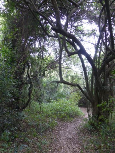 umzamocapital's tweet photo. Murahwi hill nature reserve in Mutare in the Manicaland province of Zimbabwe
#VisitMutare #VisitZimbabwe #TravelZimbabwe #TouriZim #VisitManicaland #Mutare #Manicaland #Zimbabwe https://t.co/JLCifyAuC5