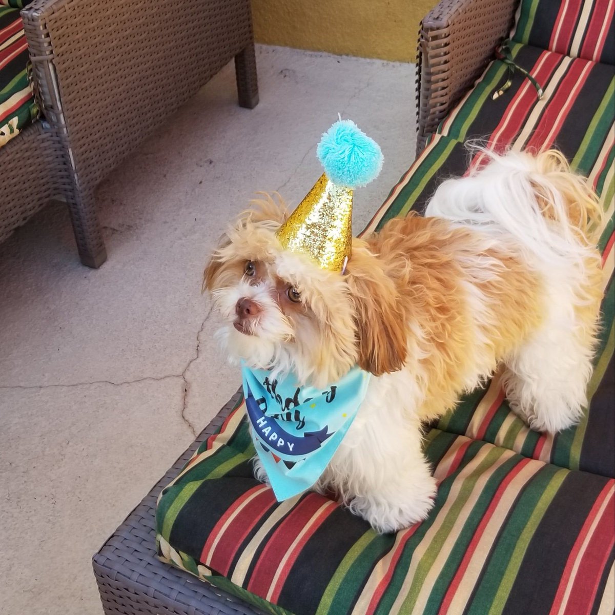 Abby Graham tweet media