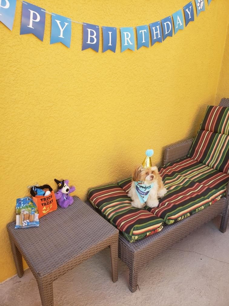 Abby Graham tweet media