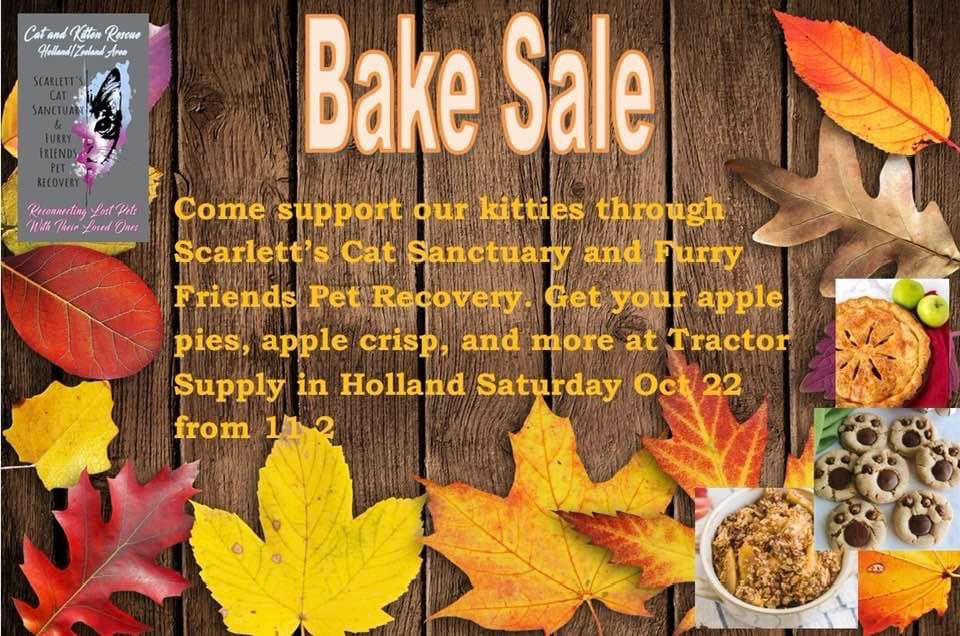 There will be vegan pumpkin chocolate chip cookies, Rocky Road bars and mini cinnamon/sugar doughnut muffins at <a href="/TractorSupply/">Tractor Supply</a> Holland October 22, 11-2 pm. #fundraiser #catrescue #furryfriendspetrecovery #kittens