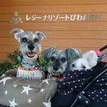 ☆。**✨kyoko☆y✨*。*☆のツイート画像
