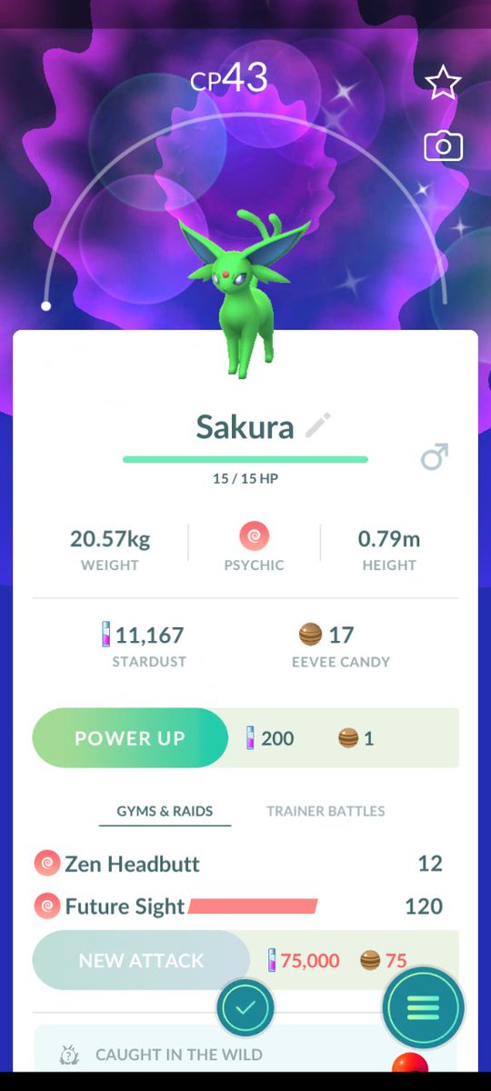 U4RIA5's tweet photo. Had to make a new account but I did catch a shiny Eevee first try #pokemon #pok #pokemongo #mon #nintendo #pokemoncommunity #pikachu #pokemoncards #pokemontcg #anime #pokemonart #pokemontrainer #art #pokemoncollector #charizard #pokemonswordshield #nintendoswitch #shinypokemon https://t.co/vw9Xi23oU4