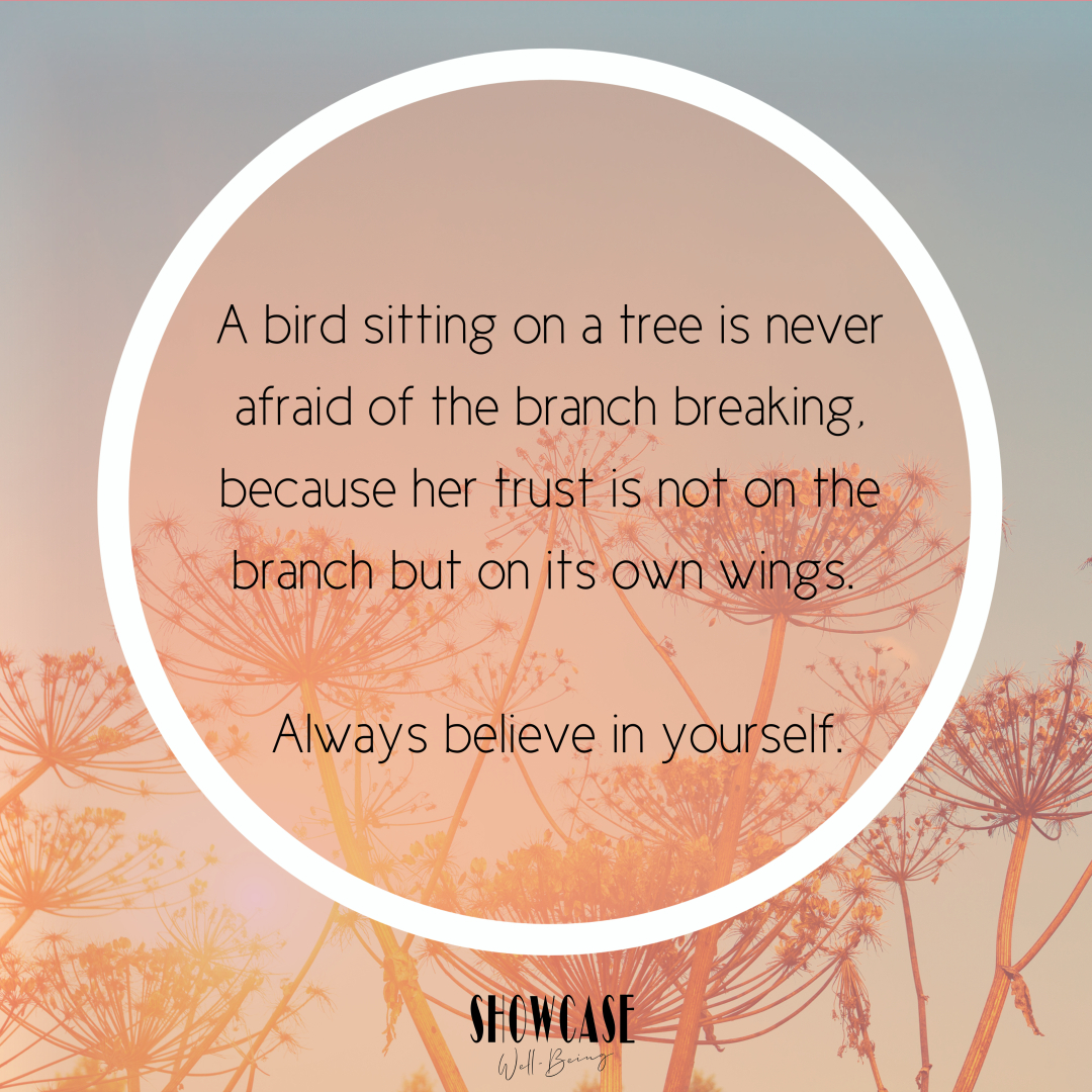 ShowcaseDS's tweet image. Schedule - Week of October 17th - eepurl.com/ibulmH