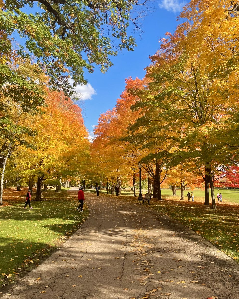 Sara Doering tweet media