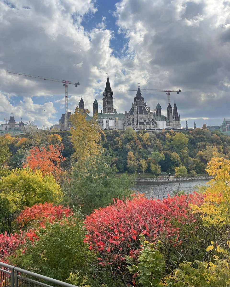 Sara Doering tweet media