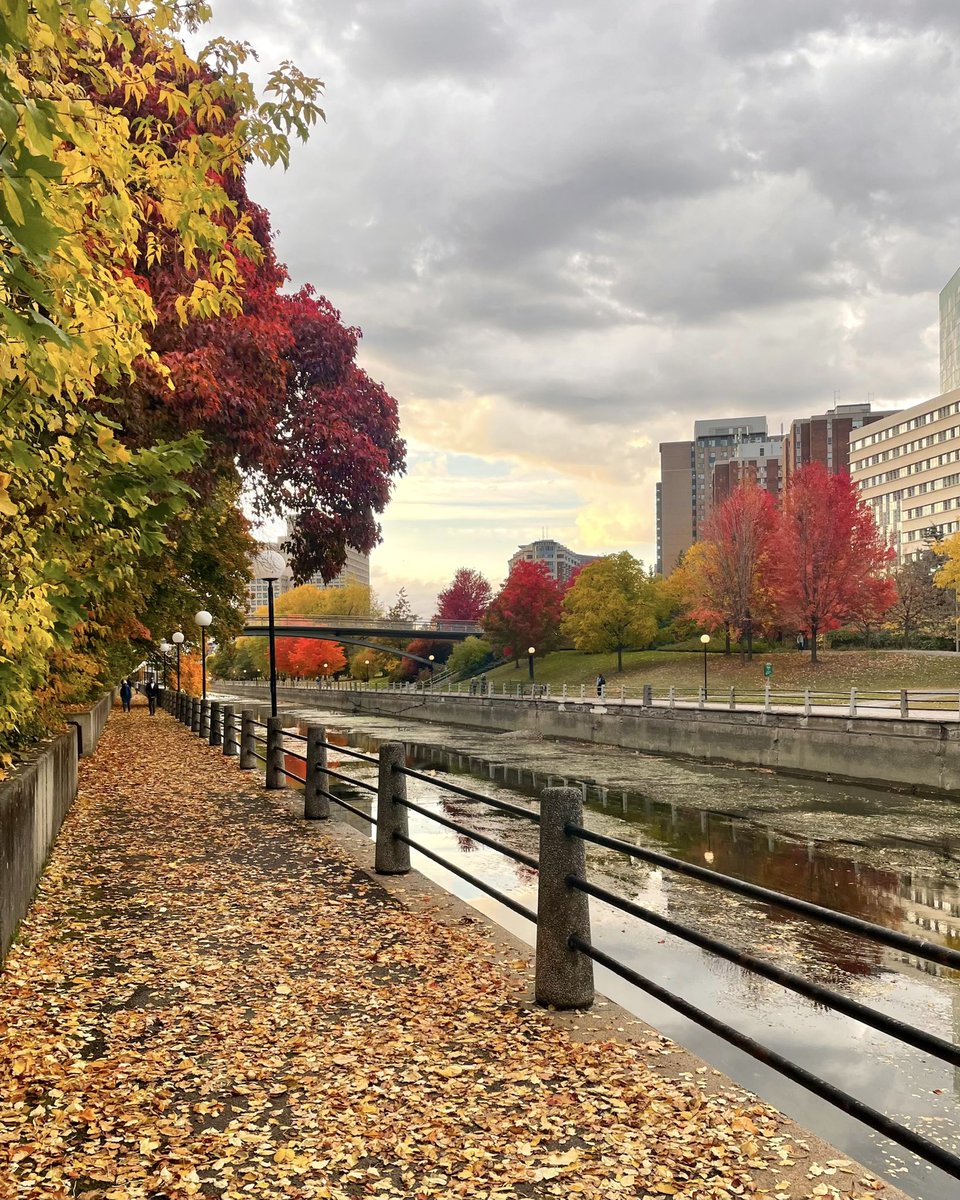 Leaving Ottawa today after an engaging and educational work week for the <a href="/TSASNetwork/">TSAS</a> Gala Conference. Thank you for organizing an event during such a beautiful time of year!