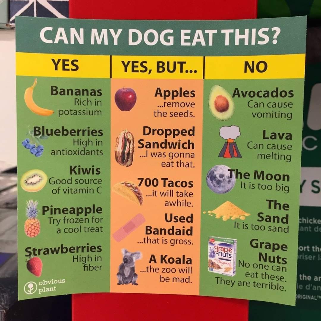 HeckinGoodDogs's tweet photo. Sharing to spread awareness https://t.co/mUgYguxu5B