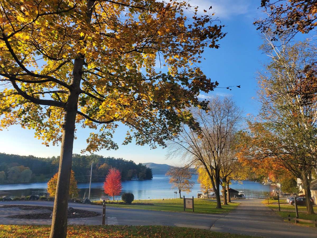 DunhamsBay's tweet photo. It's all about the fall foliage today at Dunham's Bay Resort!

#fallfoliage #fall #nylovesfall #iloveny #ispyny #roamtheempire #upstateny #upstatenewyork #adk #adirondacks #adklife #warrencounty #warrencountyny #lakegeorge #lakegeorge365 #lakelife #mylgarea https://t.co/68ad771Pfn