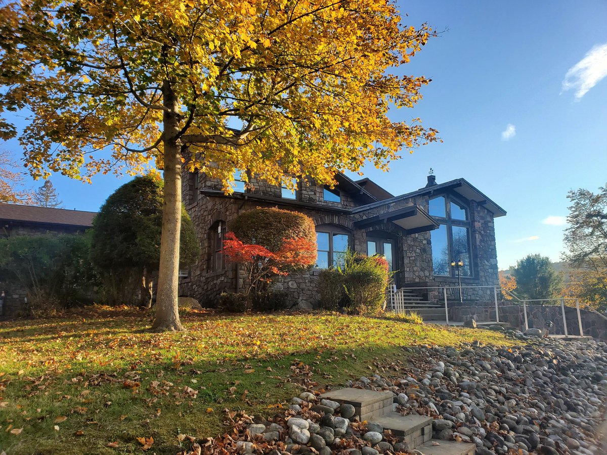 DunhamsBay's tweet photo. It's all about the fall foliage today at Dunham's Bay Resort!

#fallfoliage #fall #nylovesfall #iloveny #ispyny #roamtheempire #upstateny #upstatenewyork #adk #adirondacks #adklife #warrencounty #warrencountyny #lakegeorge #lakegeorge365 #lakelife #mylgarea https://t.co/68ad771Pfn