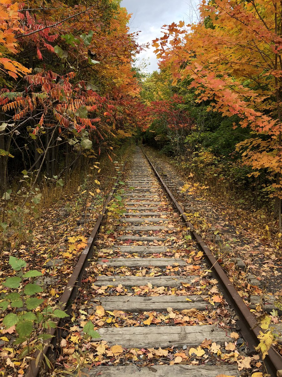 PasiekaOnPol's tweet photo. So blessed to have such beautiful trails almost right downtown at @EGBrickWorks when the fall colours come to play #viewfromthe6 #Toronto https://t.co/jJPRhahLwD