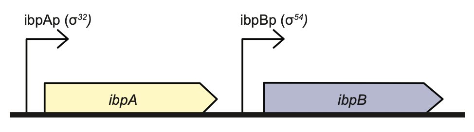 Paul Jaschke tweet media