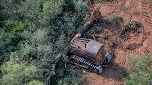 sergiodsoto's tweet photo. Economía de la Biodiversidad: bases de la Sustentabilidad Ambiental. El Informe Dasgupta. Aportes a la Discusión sobre el OTBN en el Chaco, en este caso, indicadores del éxito económico, ecosistemas y el colonialismo histórico.
https://t.co/nFm8uNzyIT https://t.co/wUK3HseUTY