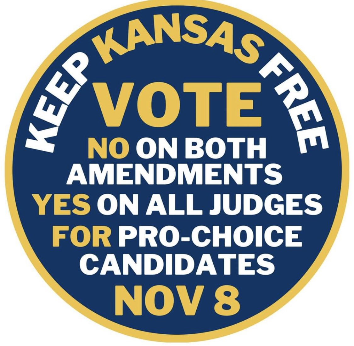 Future access to reproductive healthcare, funding of public schools, your right to vote, & much more are on the ballot this November! #VOTE #ELECTION2022 #ksleg