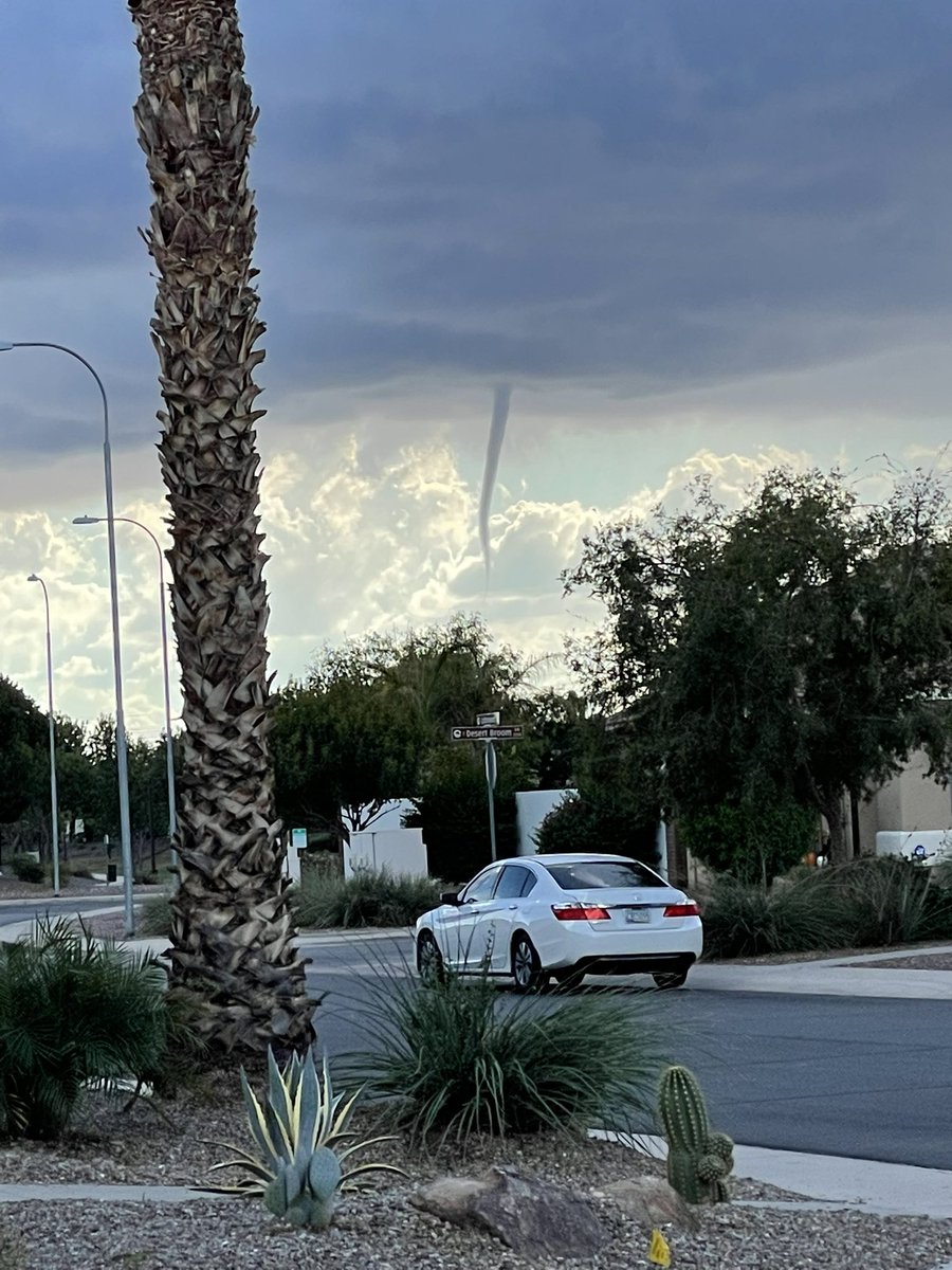 Calvin Grunewald tweet media