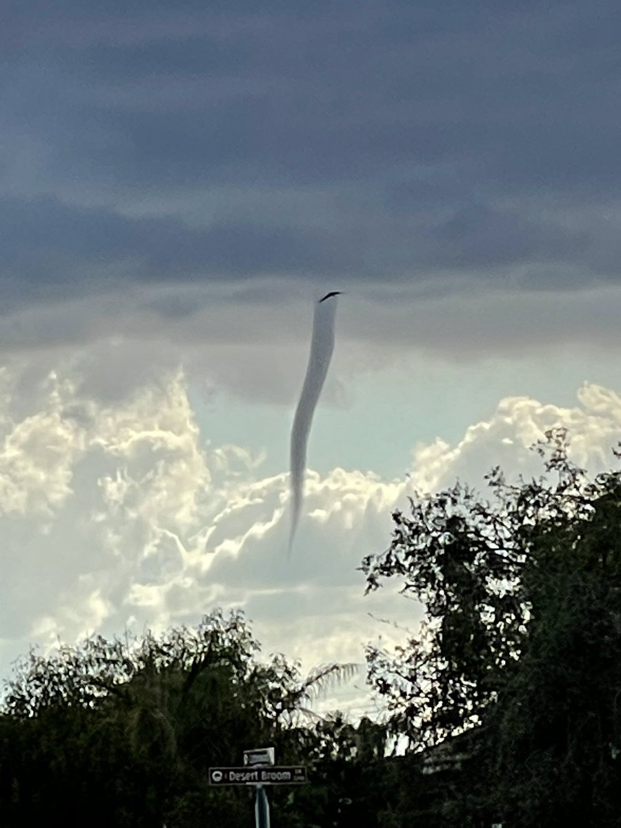 Calvin Grunewald tweet media