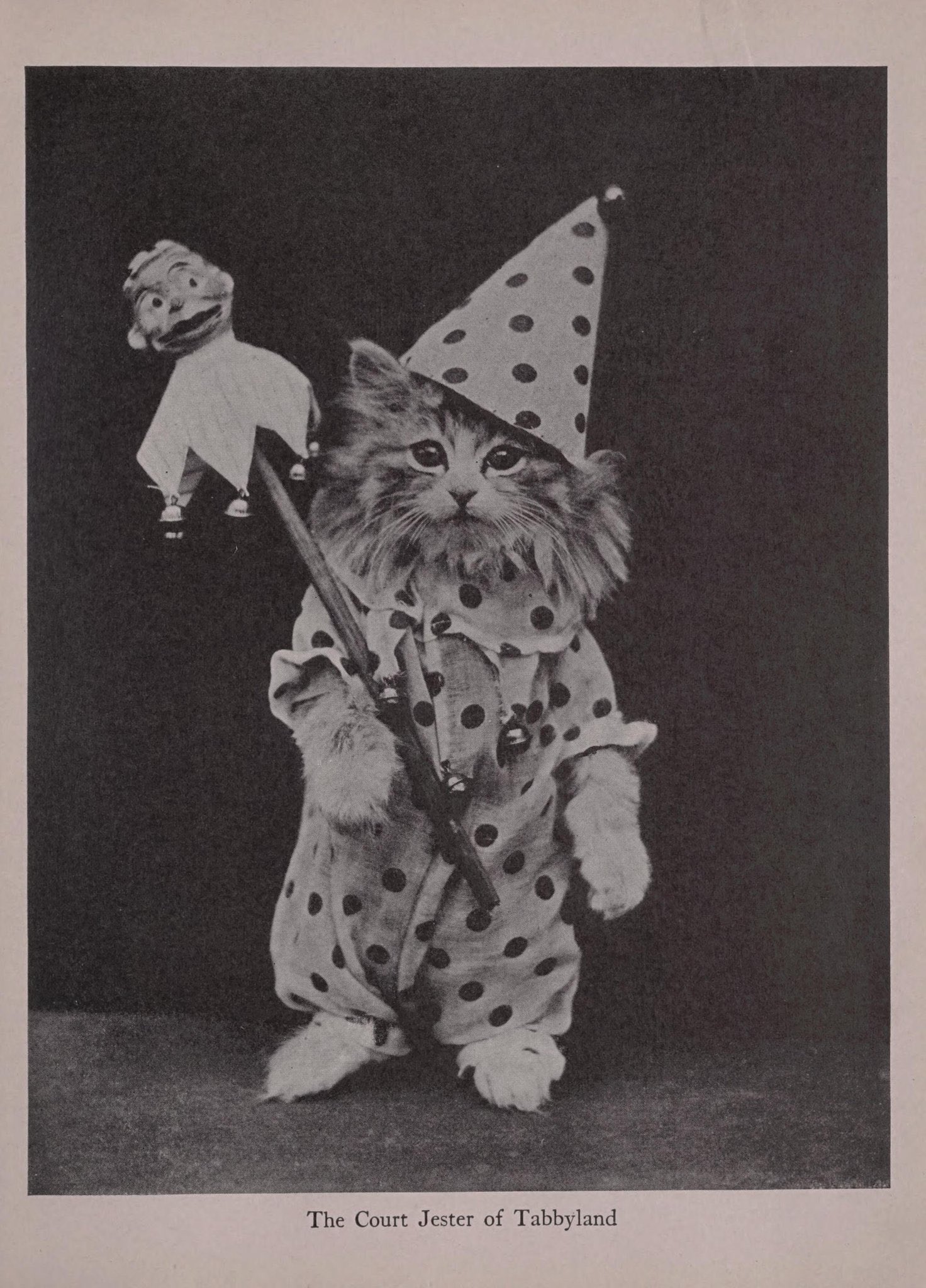 relax guys, its just ken on Twitter "just want to let you all know