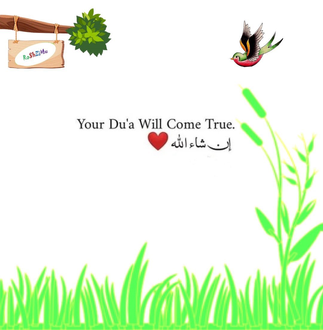 MuhammedSumon9's tweet photo. Good morning everyone 🌹🌹🌹 https://t.co/eIbiZu83vI