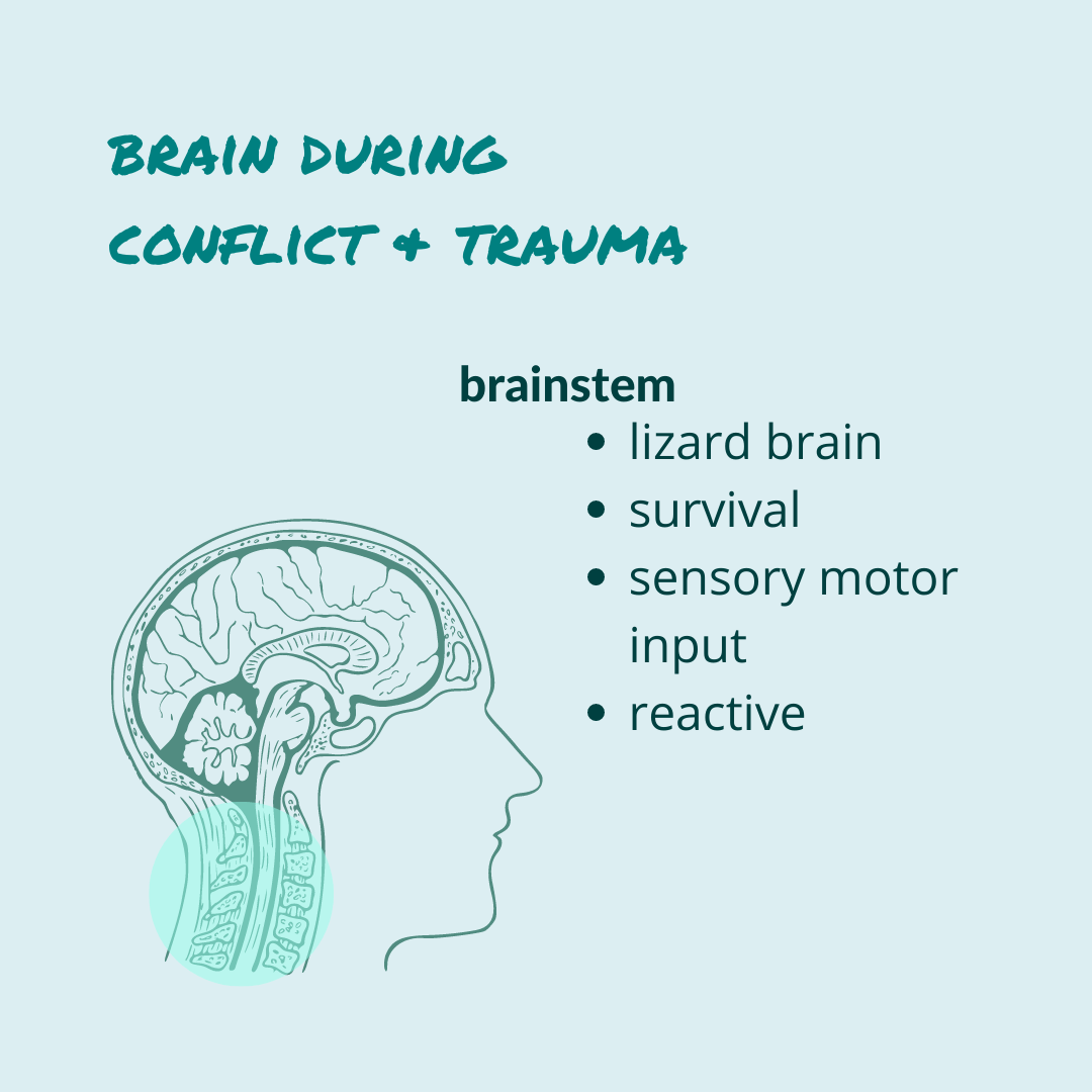 Do you work with people in survival mode? traumainformedsolutions.com/presentations/… #calmconflict #neuroscience #selfcare #selfcarecoach #conflictcoach #traumacoach #nervoussystem #safety #fight #flight #freeze #selfregulation #trauma #conflict #survivalmode #brainstem #lizardbrain