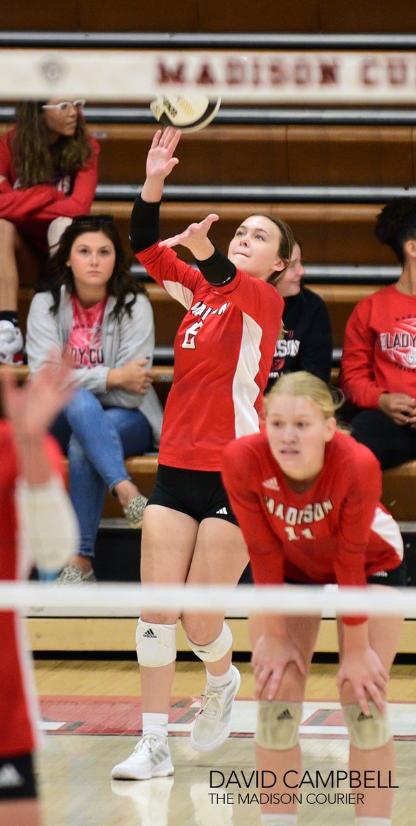 CampbellSports's tweet photo. Madison's volleyball season came to an end with a three-set loss to Providence in the sectional semifinals on Saturday. (Madison Courier Photos) https://t.co/7yPcjWVULF