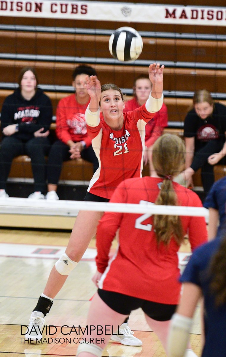 CampbellSports's tweet photo. Madison's volleyball season came to an end with a three-set loss to Providence in the sectional semifinals on Saturday. (Madison Courier Photos) https://t.co/7yPcjWVULF