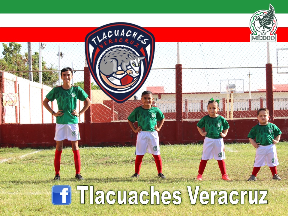 TlacuachesVer's tweet photo. Somos Mexicanos y en #Qatar2022 estamos con el Tri #Tlacuaches #Veracruz 

@miseleccionmx https://t.co/K0lTvqTord