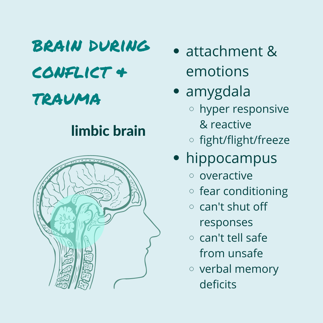 How do you know if the people you are working with are in fight, flight or freeze? youtu.be/ri9p2IpujhA #calmconflict #neuroscience #selfcare #selfcarecoach #conflictcoach #traumacoach #nervoussystem #safety #fight #flight #freeze #trauma #conflict #amygdala #hippocampus