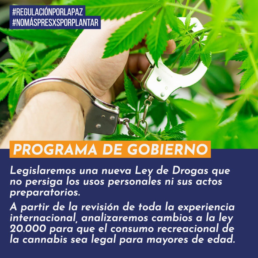 Luis Quintanilla lleva 60 días privado de libertad. Lo está por ser presidente de <a href="/DisNacional/">Dispensario Nacional</a>, corporación de usuarios medicinales de Cannabis. Se debe avanzar con programa de gobierno y terminar criminalización! #NoMasPresosPorPlantar #RegulacionXLaPaz