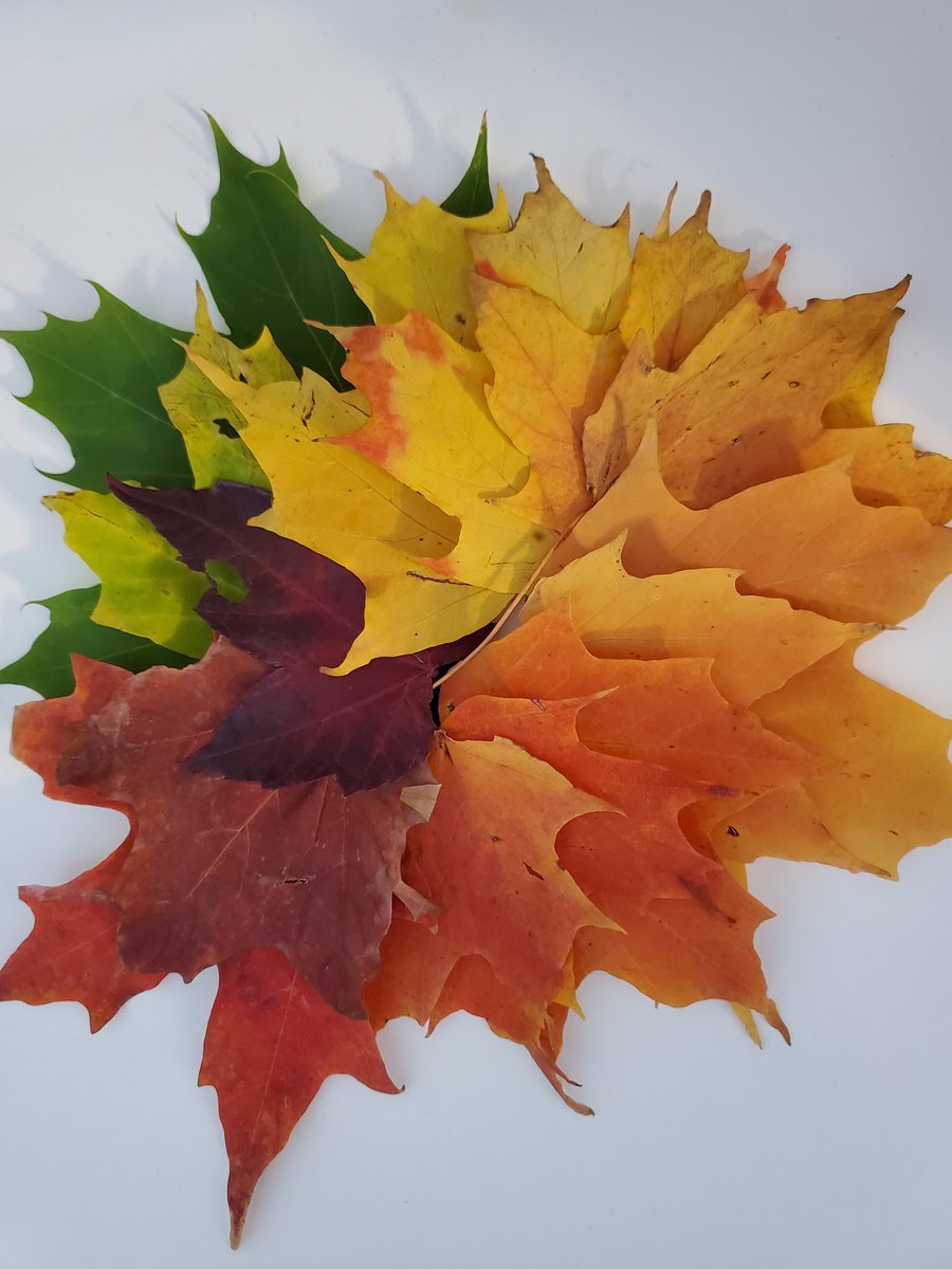 One of the 1,643,327 reasons autumn is my favourite