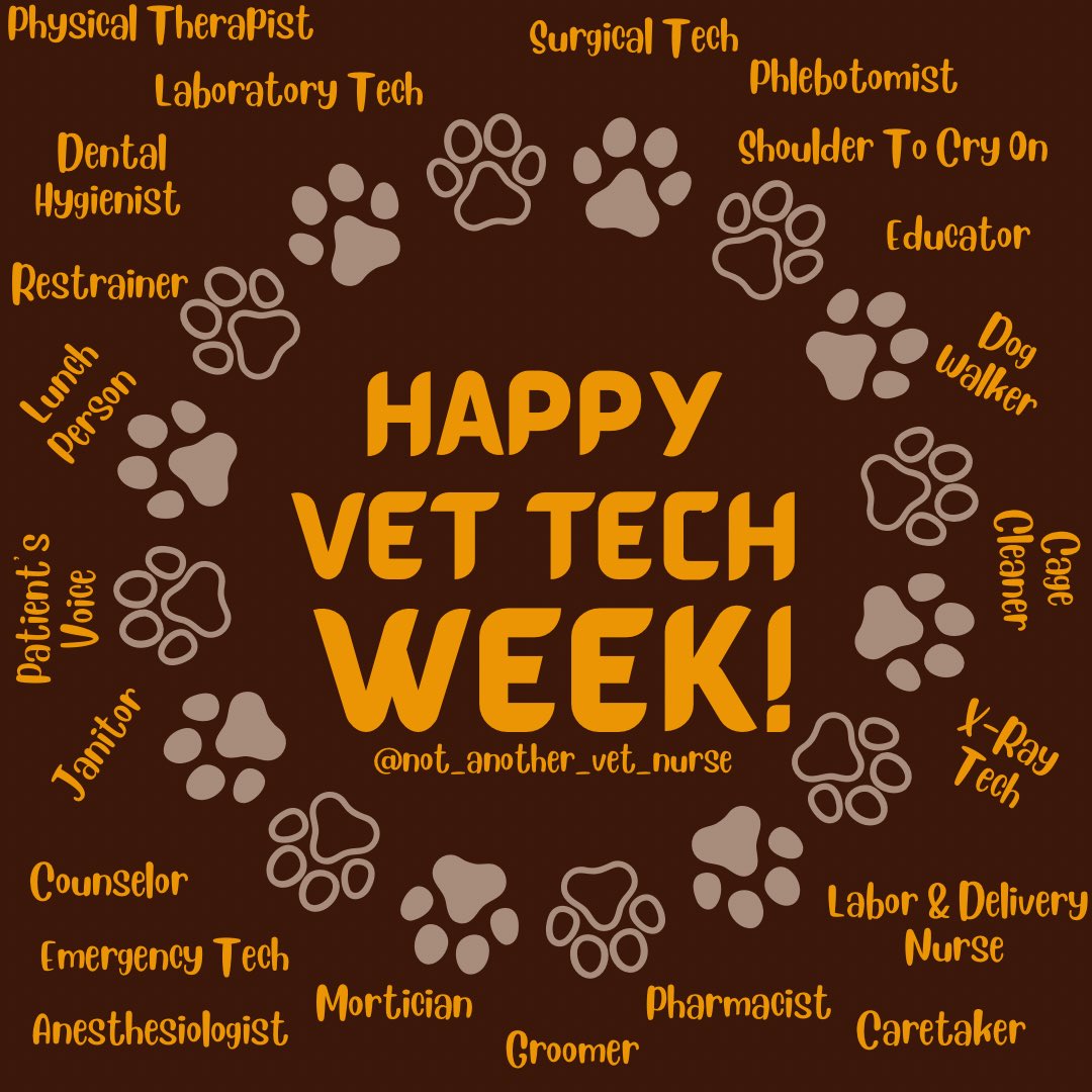 not_vet's tweet photo. This week and every week we celebrate you 🤎 #VetTechWeek https://t.co/1knApYi7uO